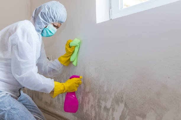 Mold Remediation for Rental Properties in Hartford, IL